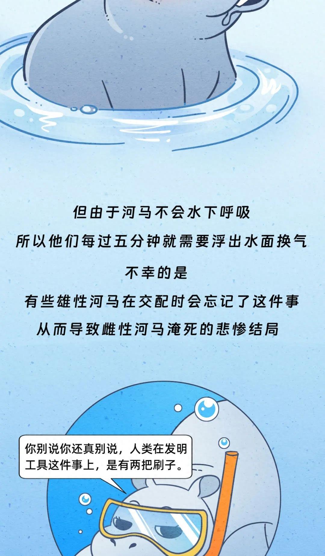 动物交配行为鉴赏，真的触碰到了我的知识盲区（漫画）