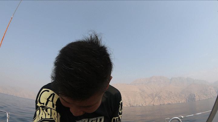 中国小伙的航海日记,44:遭遇海上马蜂袭击,亲妈都不认识我了