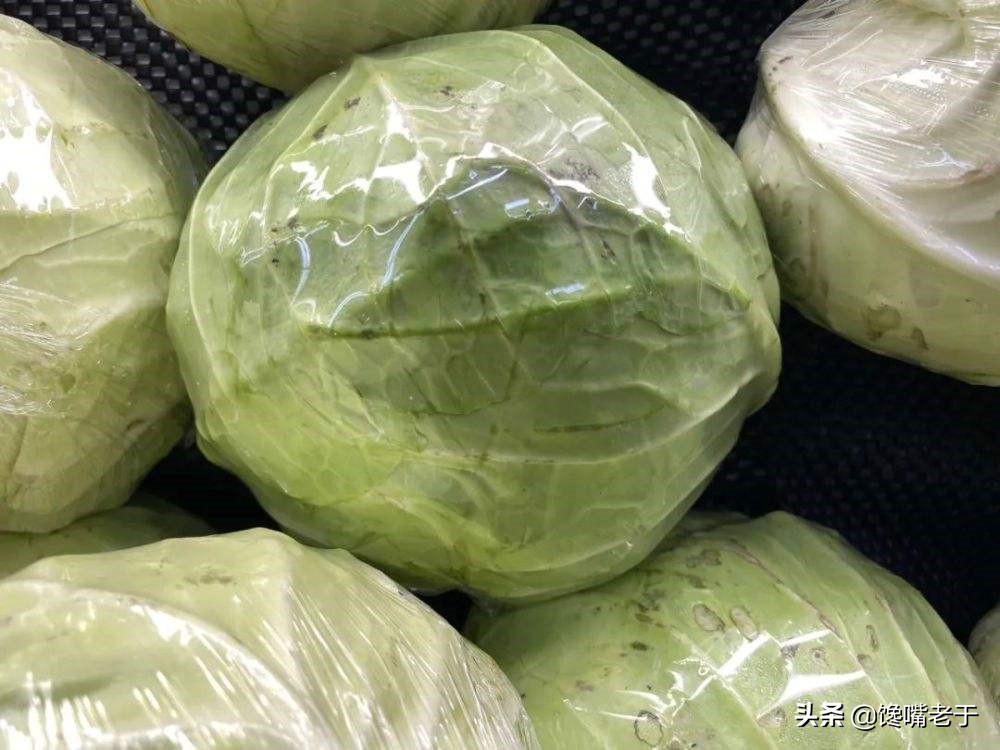 包菜紧实的好还是松的好,包菜松散好还是结实好吃