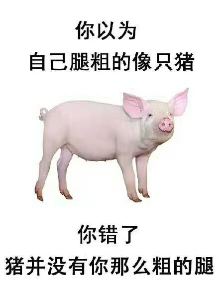 为什么猪能存活下来,为何猪在进化中没有被毁灭