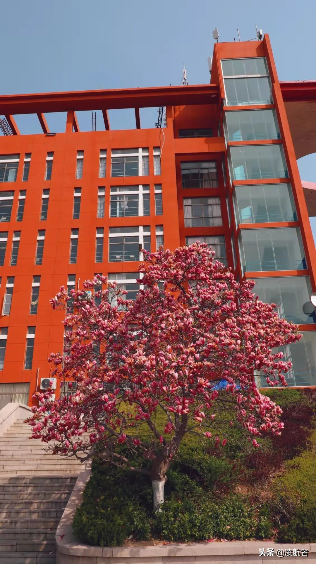 共赴春之约携手新征程,共赴春天之约携手砥砺前行