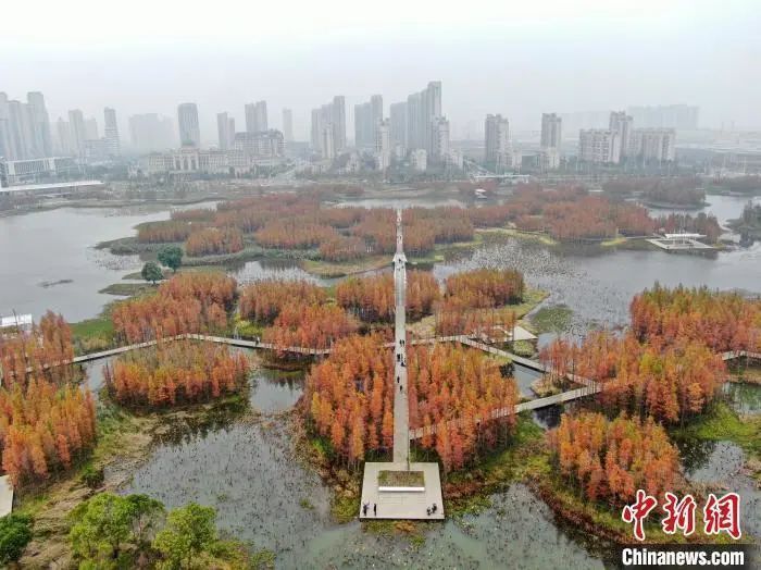 安庆市国家历史文化名城名单,西安历史文化名城保护规划