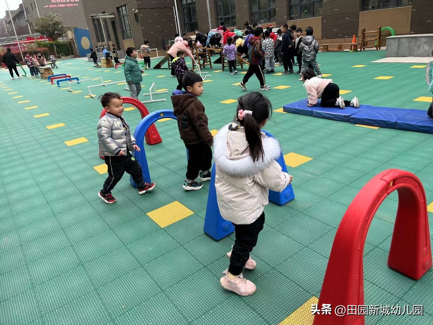 课程故事乌龟大班,嗨小鸭课程故事