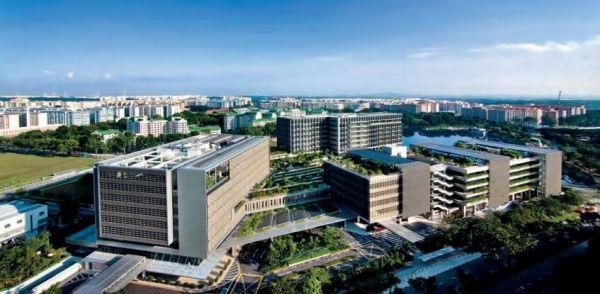 在新加坡辱骂护士什么后果,国内骂护士犯法吗