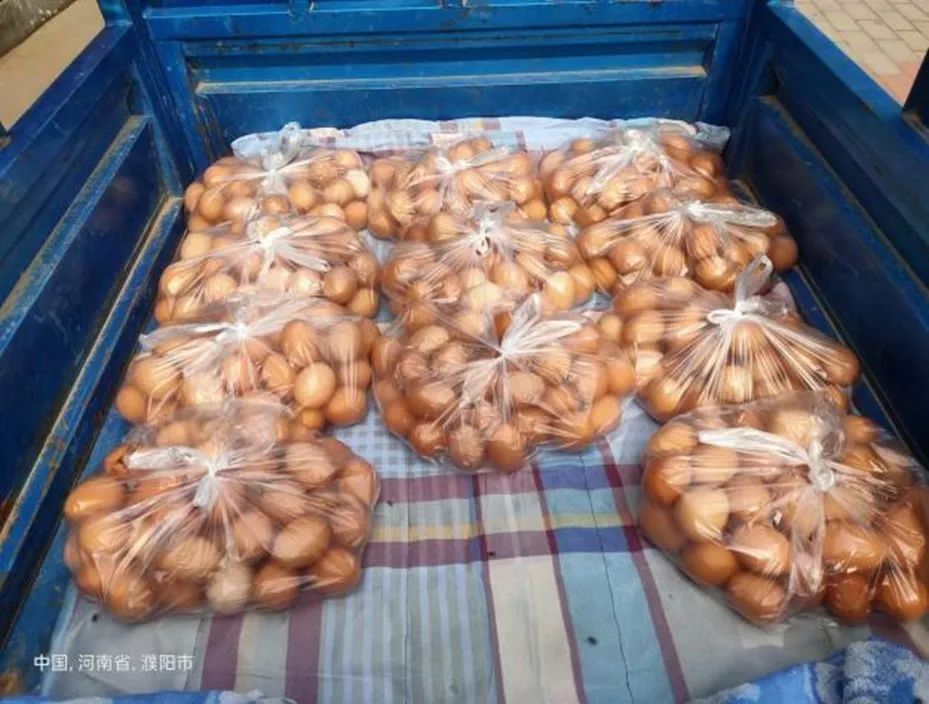 筑牢抗击疫情堡垒,筑牢疫情防控技术堡垒