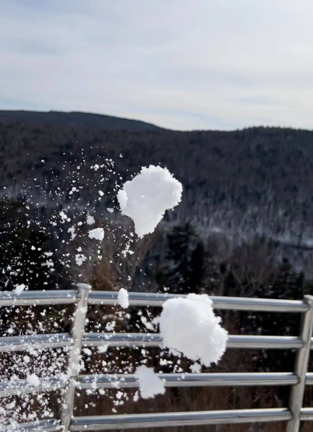 2月，终于可以尽情生活