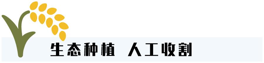 五常稻花香大米怎样辨别真假呢,五常大米国标1354和19266的区别