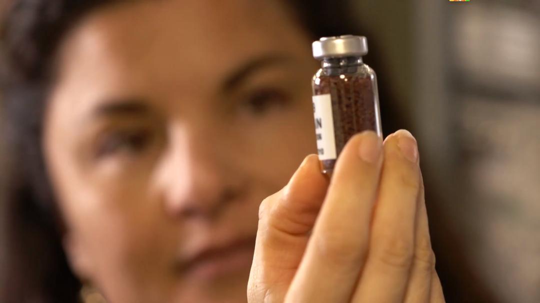 娉曞浗鑾幈灏斾粰瀹㈡潵鍝佺,鑾幈灏斾粰瀹㈡潵