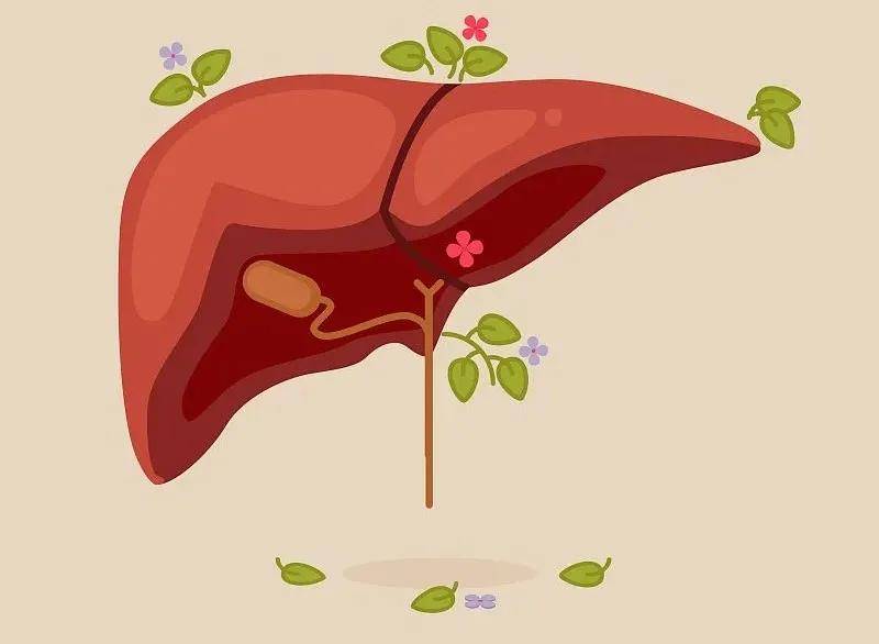 脾脏虚弱怎么调理才能快速缓解,脾虚弱西医怎么治疗