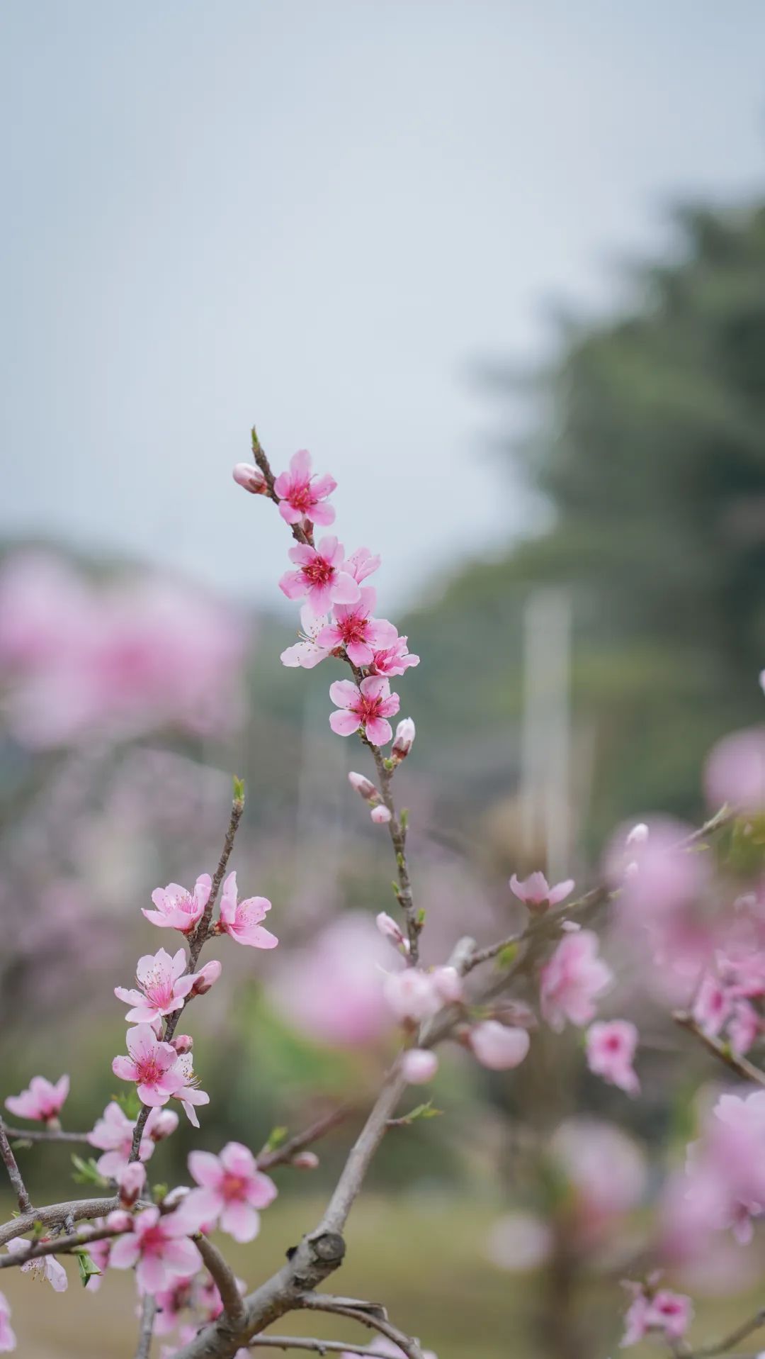 快上车app官网,快上车在哪设置