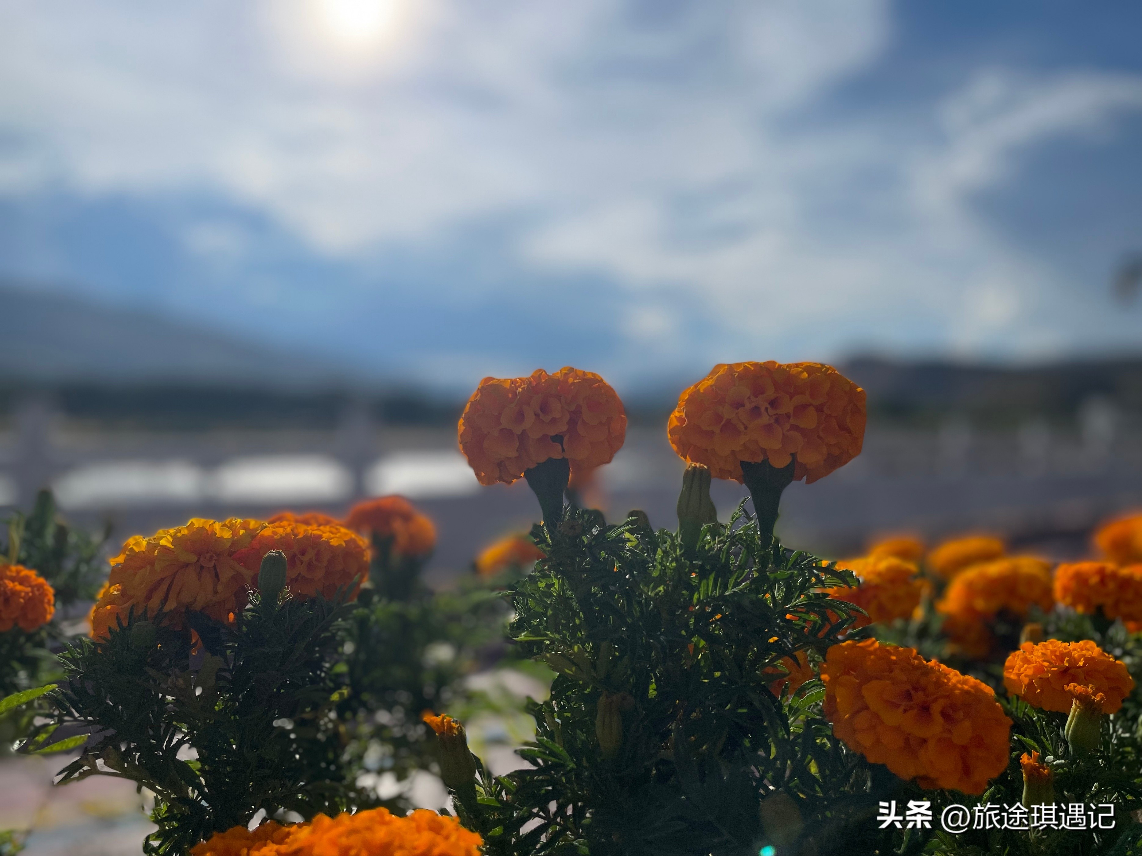 沿着317国道经过甘孜县格萨尔王城,317国道马尔康到甘孜县一路风光