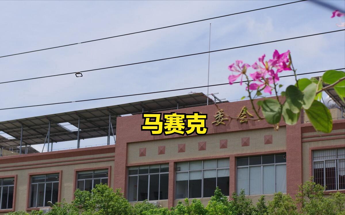 农村房子被拆应该找谁承担责任,农村房子被强制拆除怎么赔偿