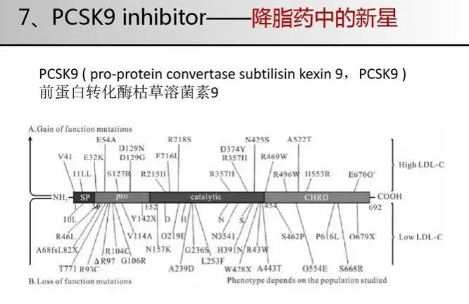 降脂针进入医保多少钱,降脂针一年打一次纳入医保