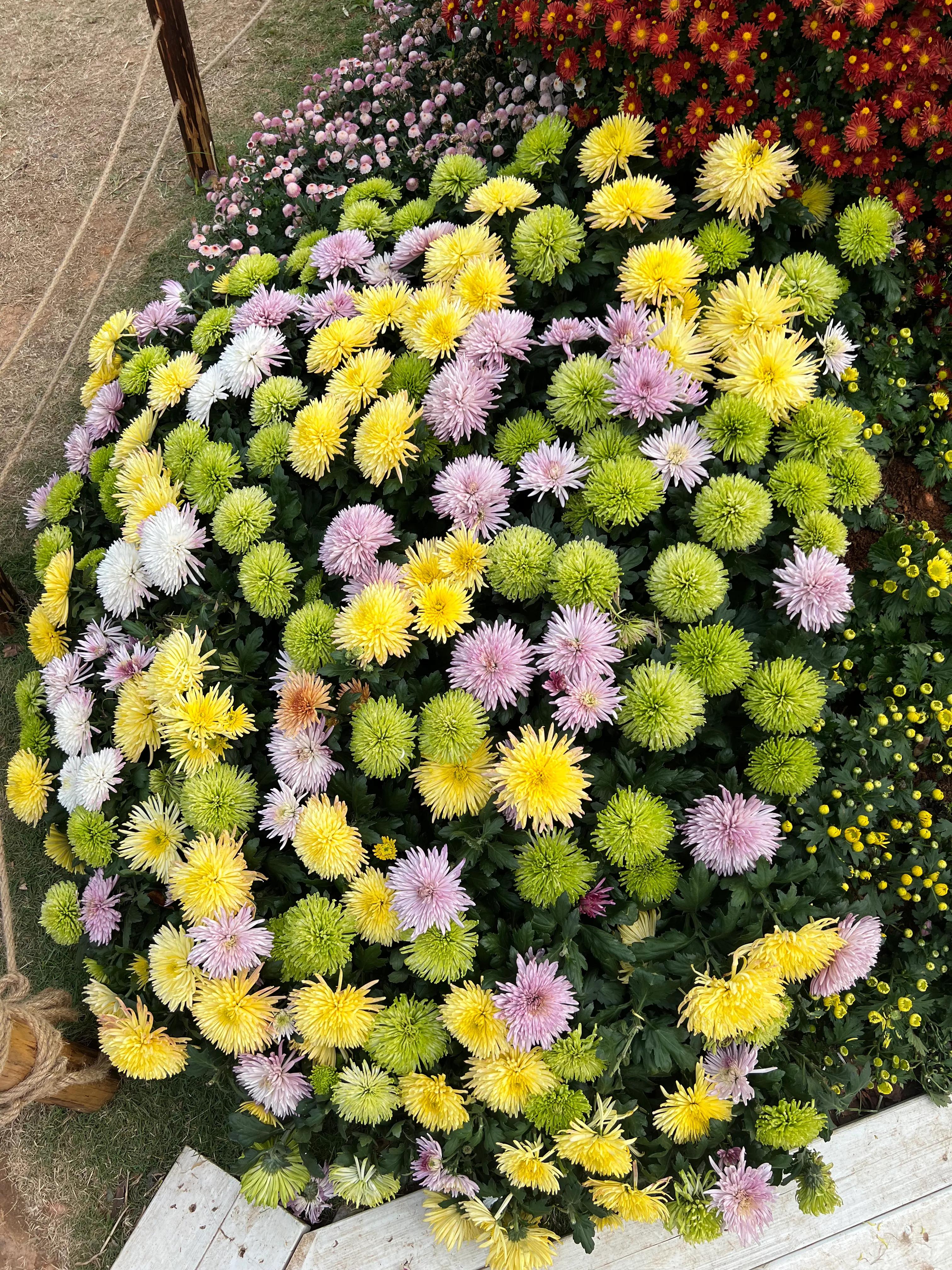 二十条负面清单,21条负面清单是哪些