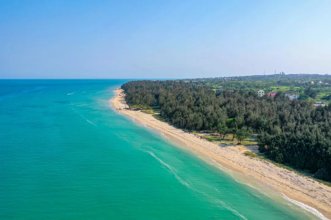 盘点那些过气网红的现状,2020年已经过气的网红