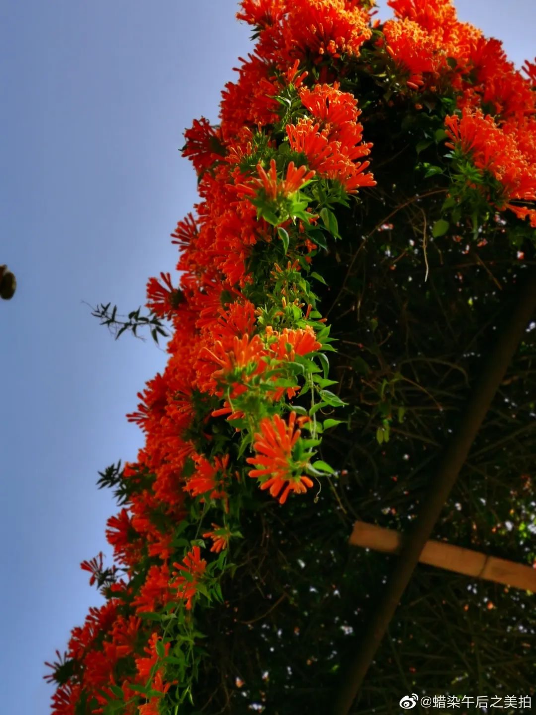 有一种叫云南的生活｜偏爱腾冲的N个理由