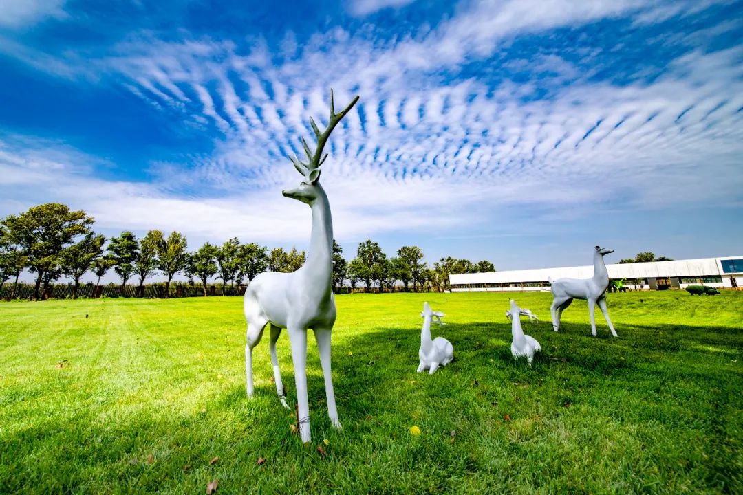 休闲农业和乡村旅游线路图,休闲农业旅游线路推荐