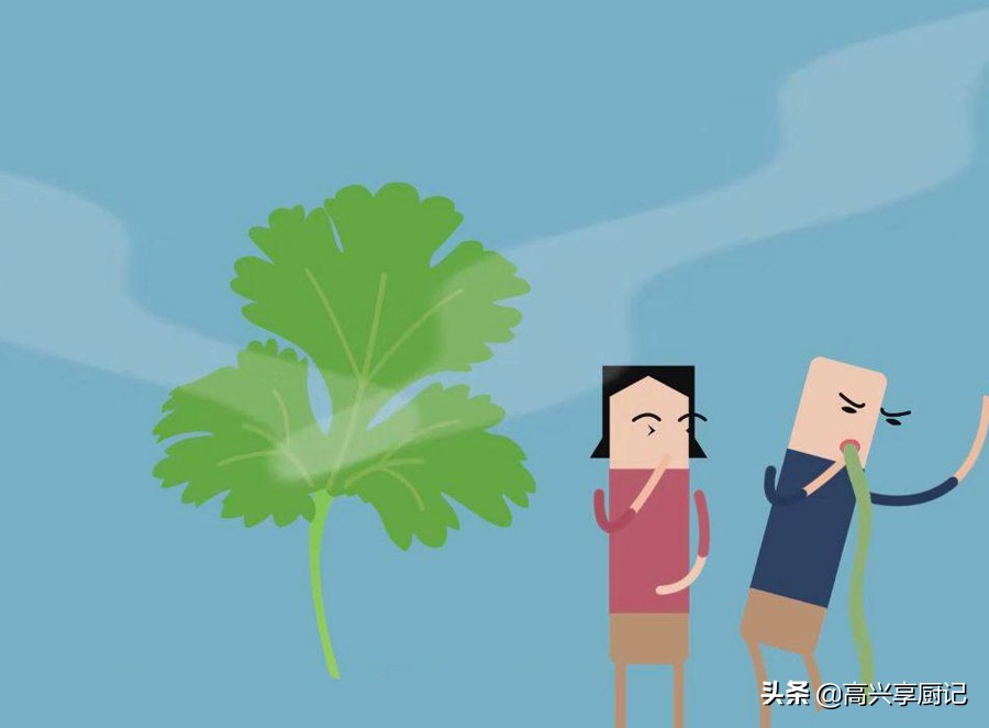 中国人不吃香菜是什么基因决定的,不吃香菜的人是一种病吗