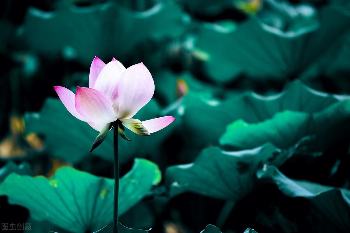 用护肤品皮肤有刺痛感怎么回事,换护肤品后皮肤有刺痛感