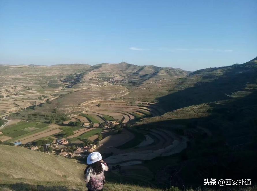 冰峰涨价是怎么考虑的,冰峰涨价影响销量吗