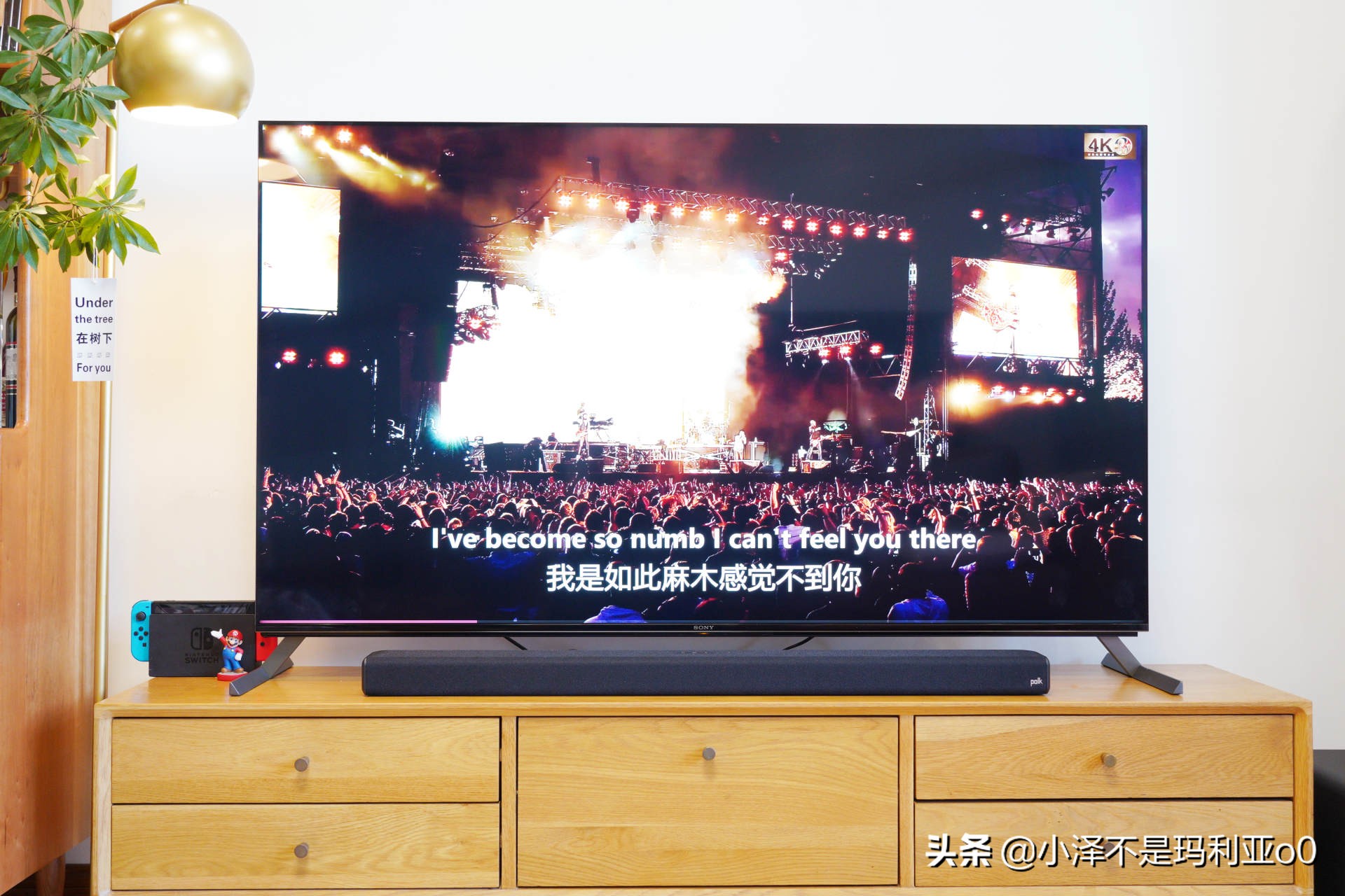 别再把条形音响当回音壁了！深入浅出，手把手教你分辨真假回音壁