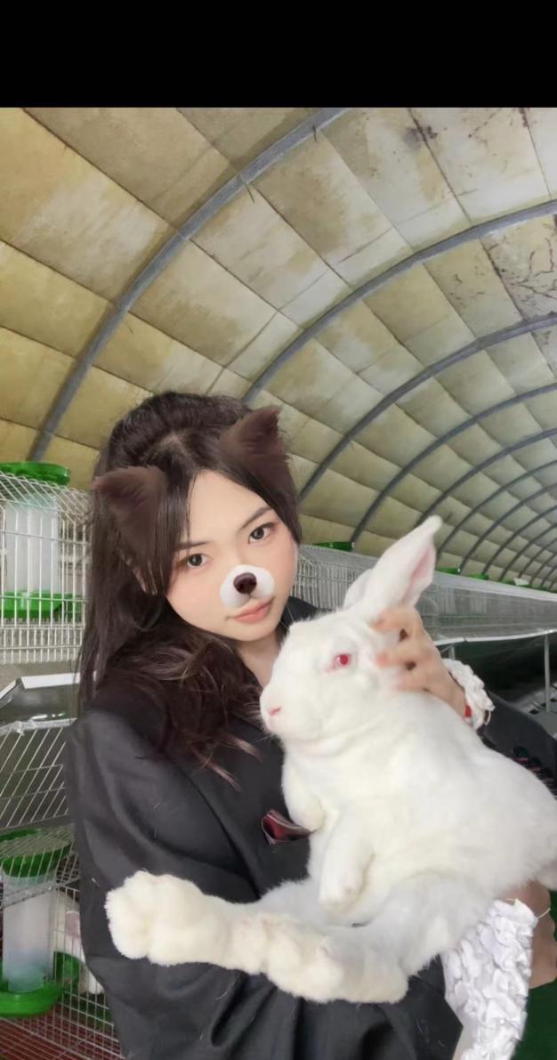 养兔子怎么干净卫生,养兔子的缺点和坏处