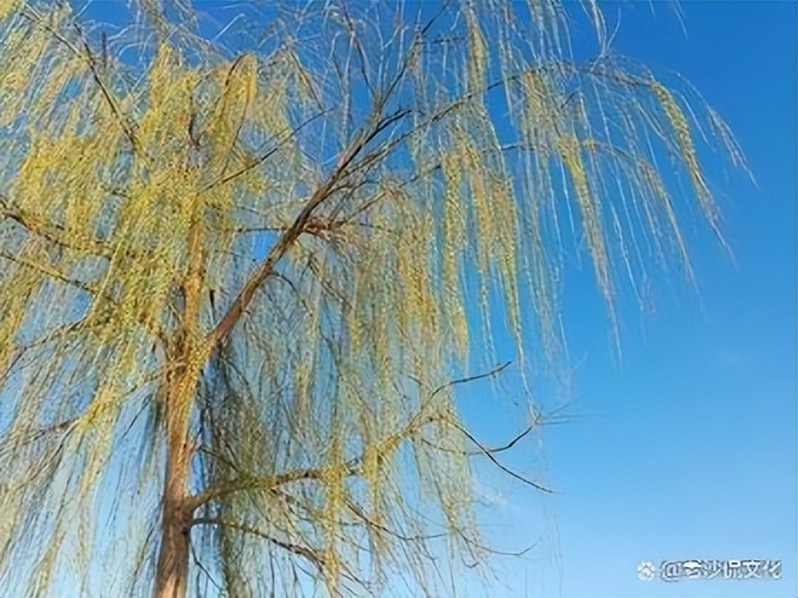 早春的诗句古诗大全,十首优美的古诗春