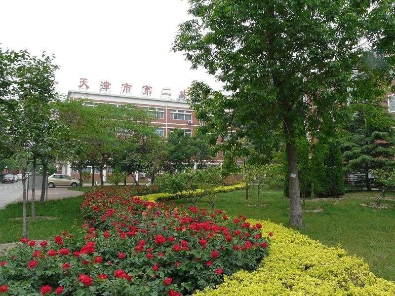 天津北师大附中和42中哪个好,天津中学和南大附中哪个学校好