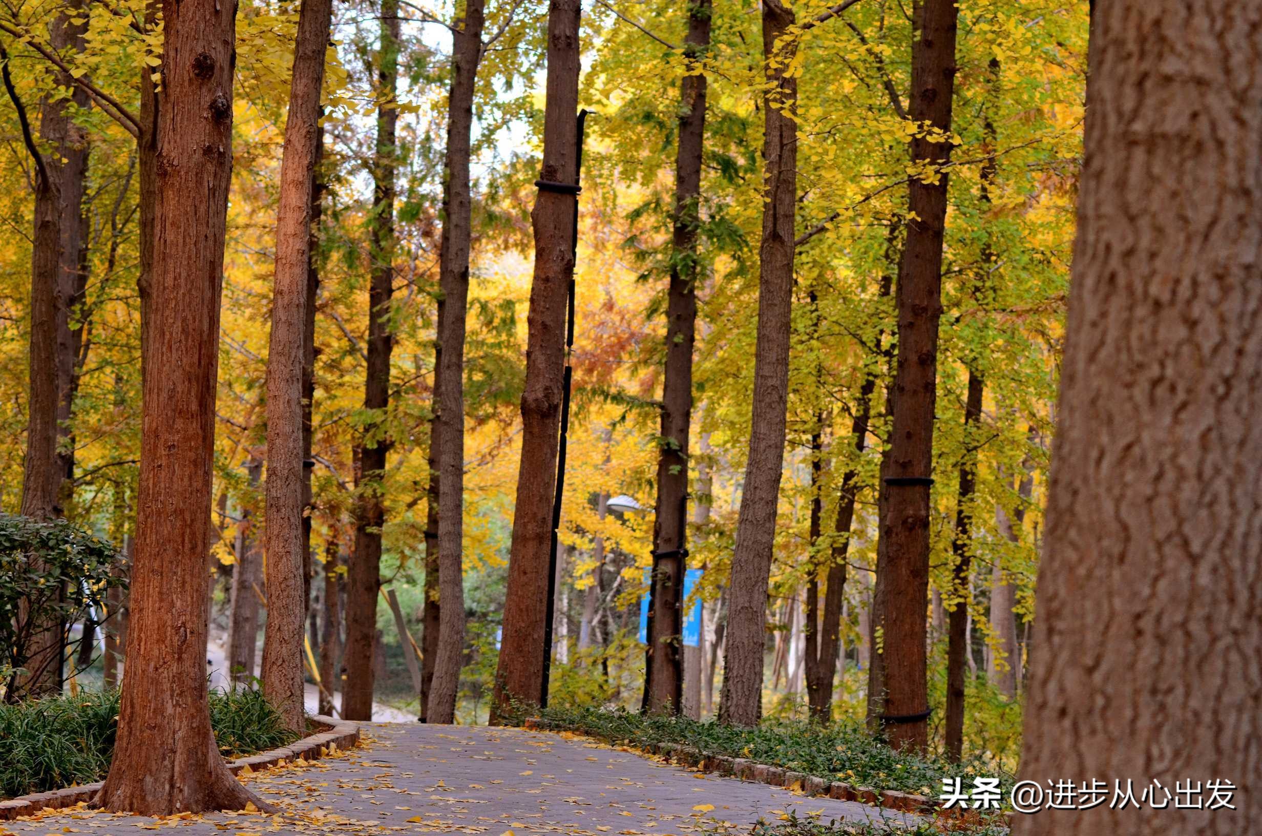 胡思乱想怎么办才能突然间消失,怎么在胡思乱想的时候停止思考