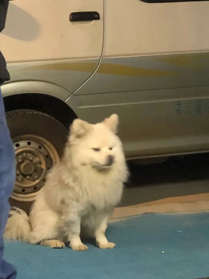 西瓜奇葩搞笑图片,超级搞笑吃西瓜笑的肚子都疼了