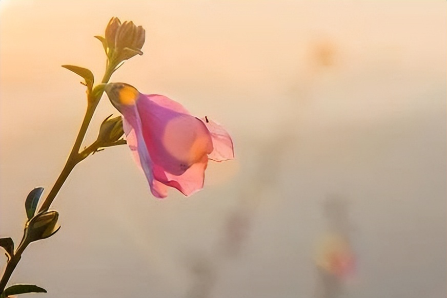 自己亲人是自私自利的人怎么办,家人自私自利