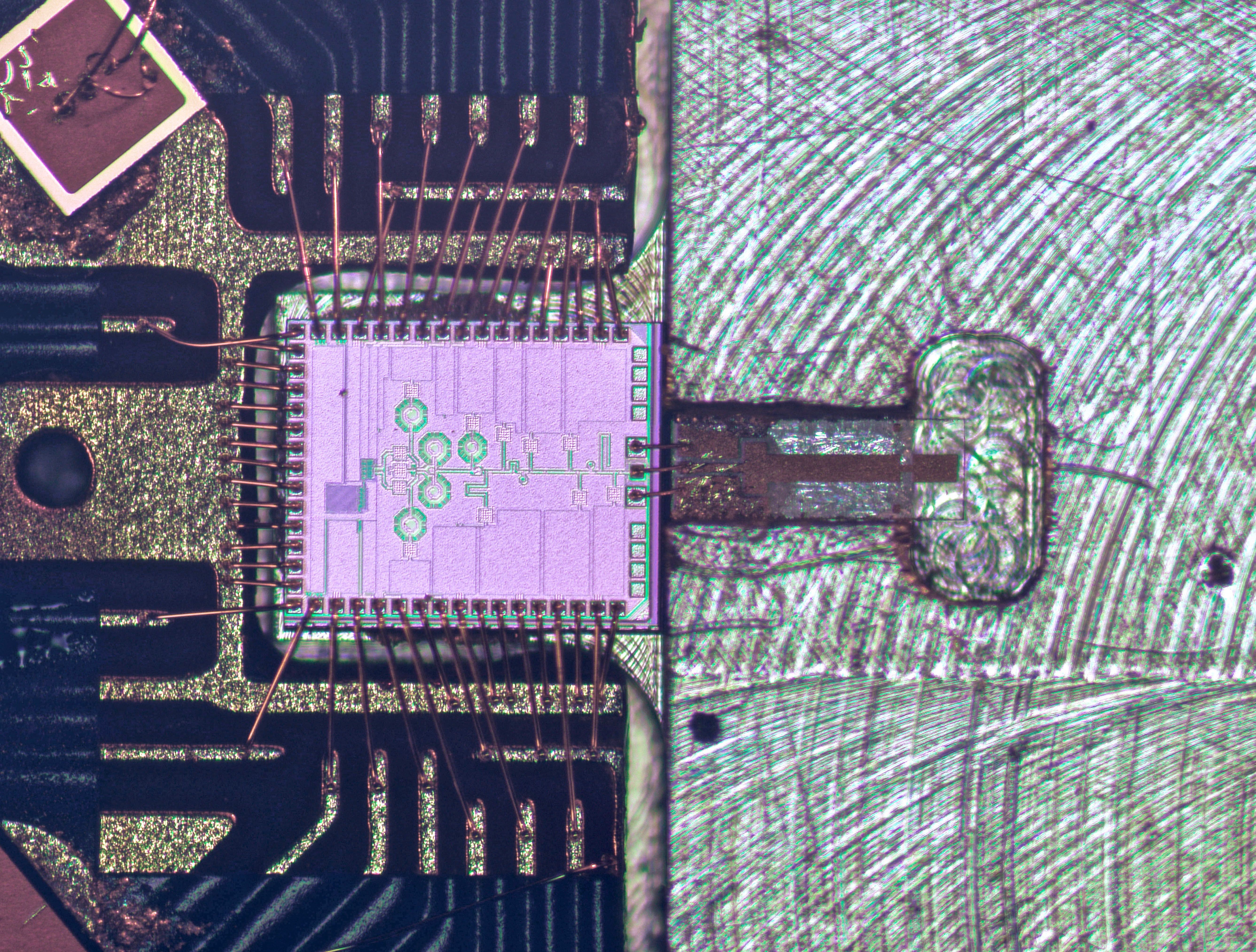 雷蒙多谈三星手机,雷蒙多访华见证中国芯片崛起