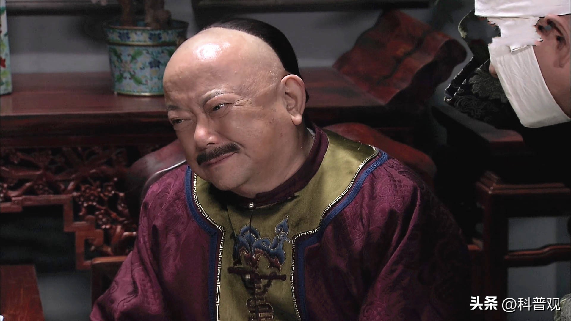 金丝楠木有多贵树苗才12元一棵,金丝楠木树价值两亿多