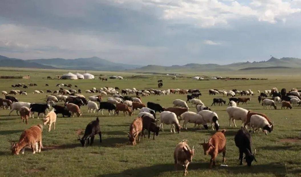 蒙古国的经济发展现状,蒙古国经济水平现状