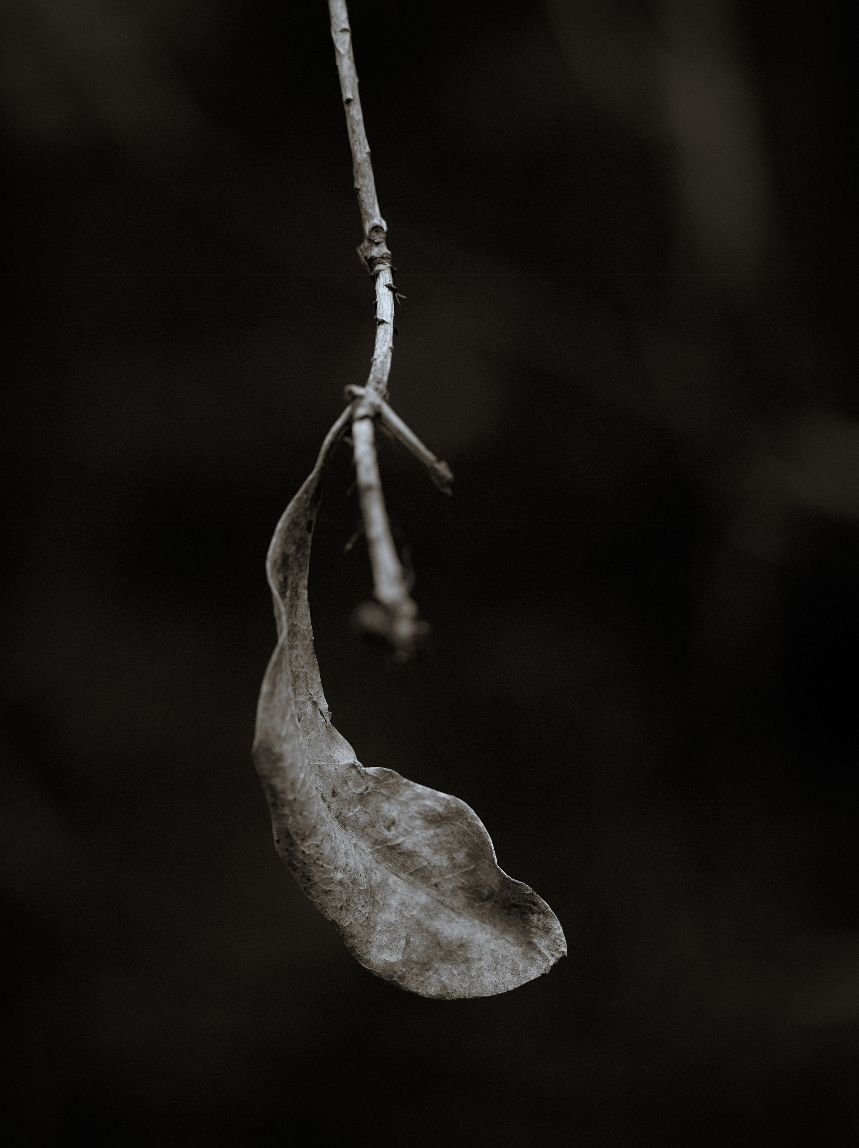 索尼世界摄影获奖作品图片,索尼世界摄影大赛获奖作品展示