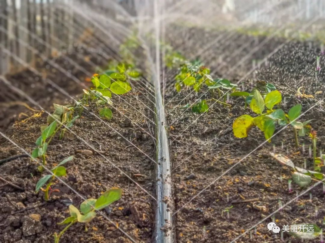 3年6000亿美元,3年赚60万什么水平