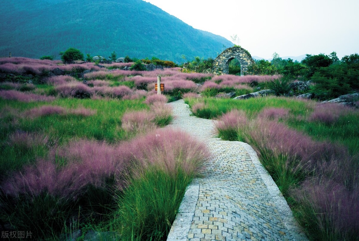 如何开一家茶馆,开一家茶馆的创业规划