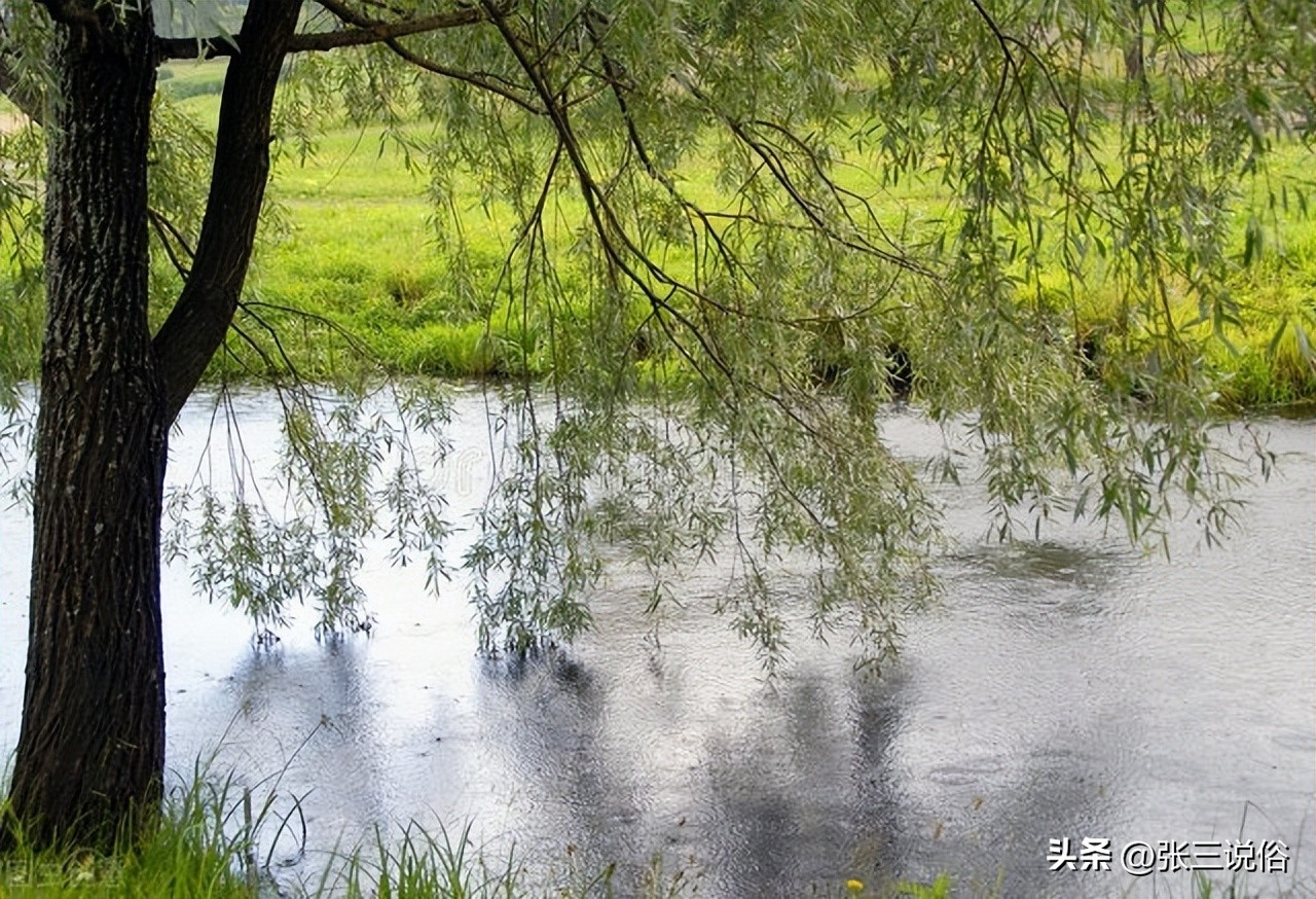 是上午立秋凉快还是下午立秋凉快,晚上立秋凉快还是早上立秋凉快