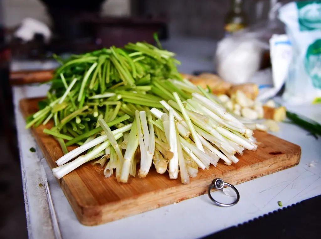 萌萌细语｜准备为我治咽炎，哥们用大瓦罐栽种水芹菜