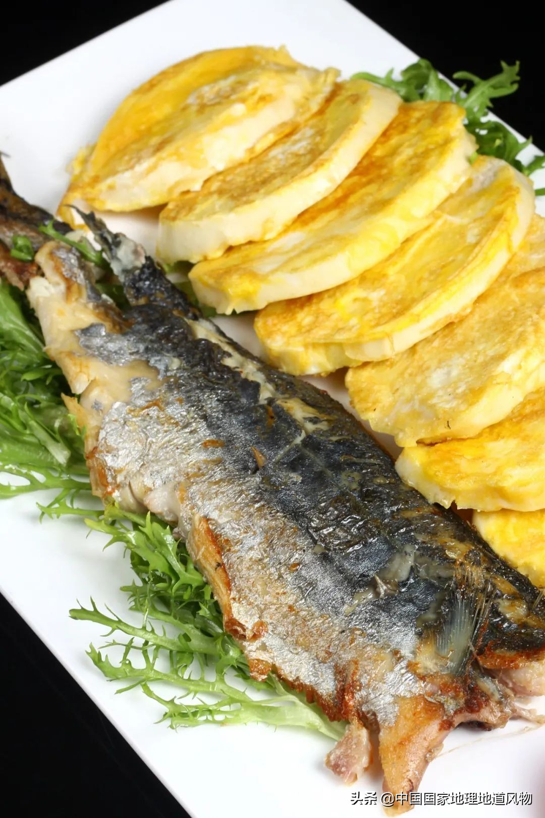 辽宁哪个地方的海鲜最好,辽宁各市都有啥海鲜