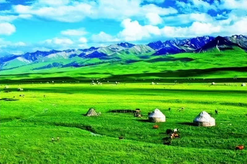 告诉你一个真实的伊朗,告诉你一个真实的我