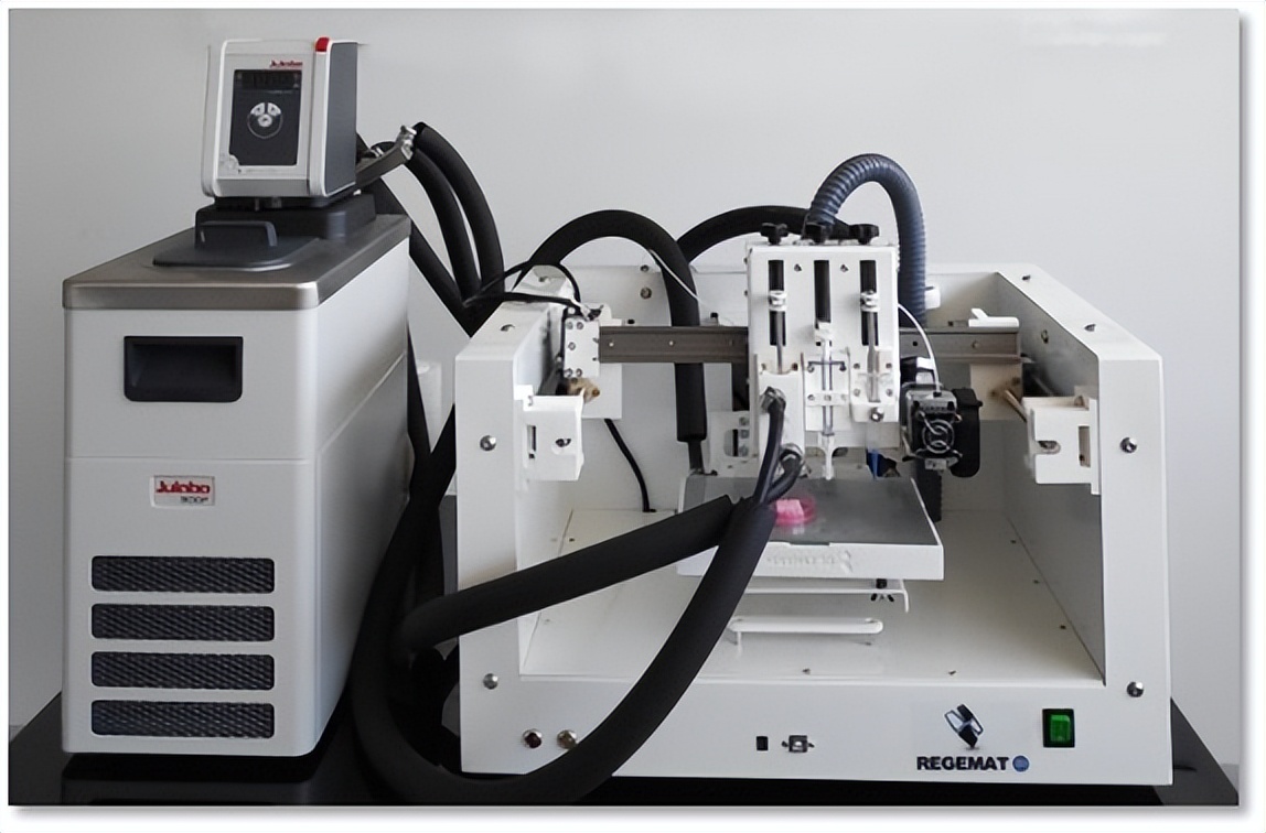 生物3d打印公司,中国最好的3d打印生物公司