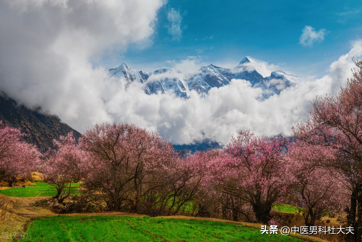 年少伤了肾精,年少伤精