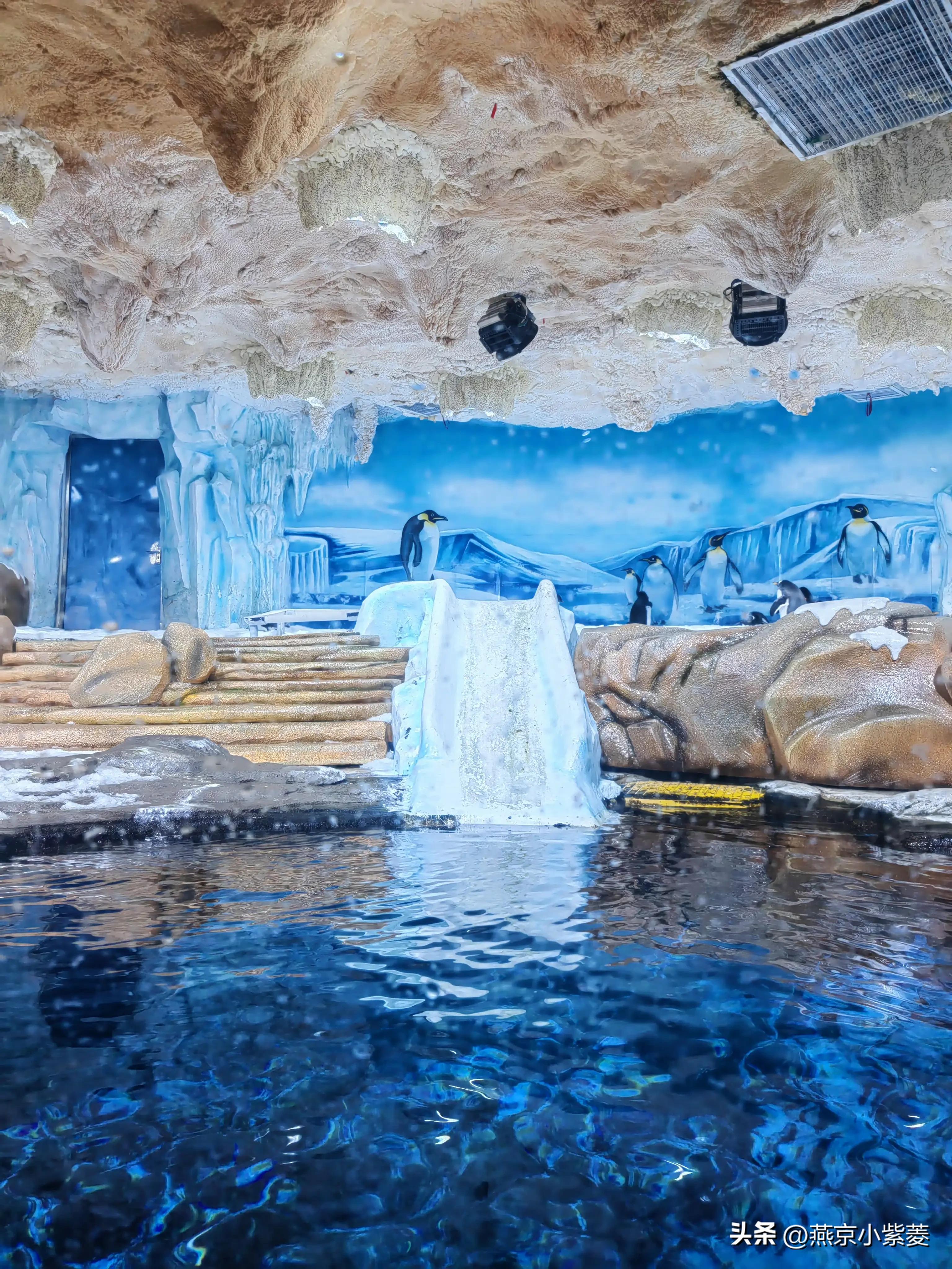 青岛海昌极地海洋世界好玩吗,青岛海昌极地海洋世界vs青岛海底世界