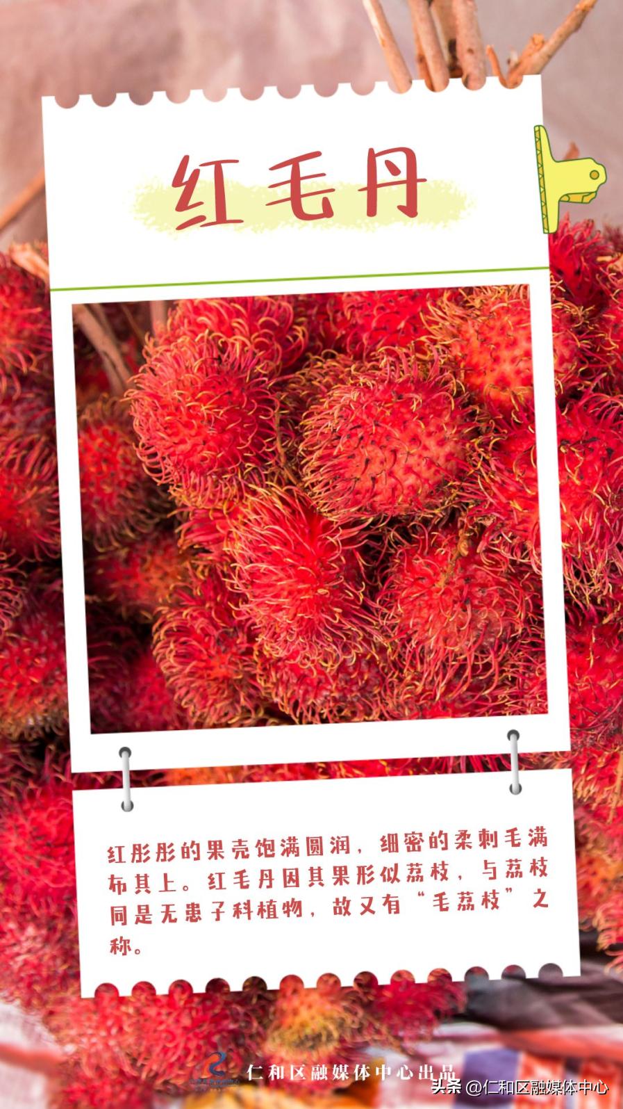 超甜的热带水果有哪些,好看好吃又不常见的水果