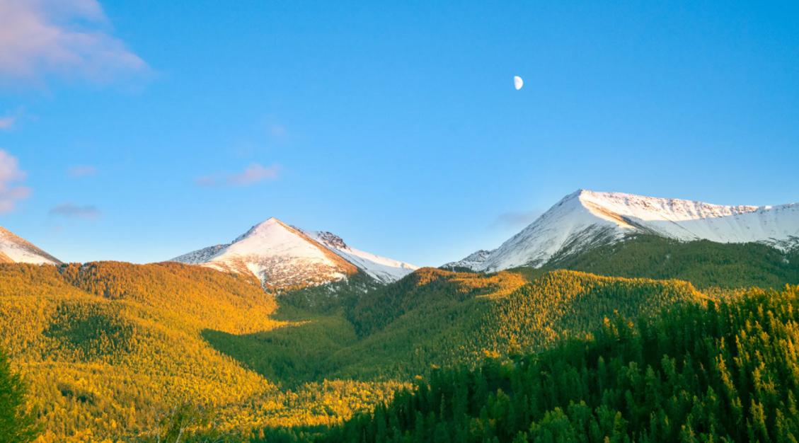 伊力特酒在新疆的知名度,伊力特白酒疆外市场存在问题