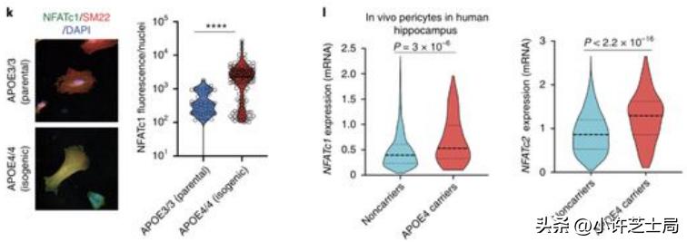 戊唑醇与磷酸二氢钾混用控旺吗,戊唑醇与磷酸二氢钾一起用吗
