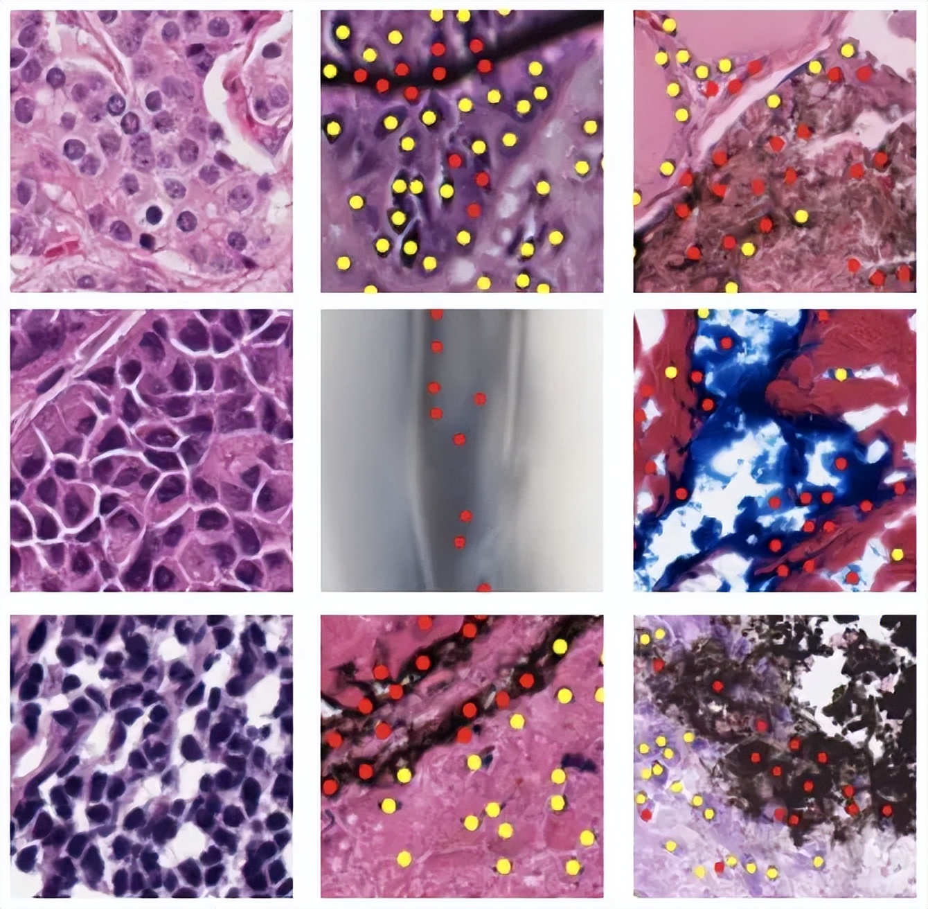 目标检测数据集采集,目标检测图像数据集