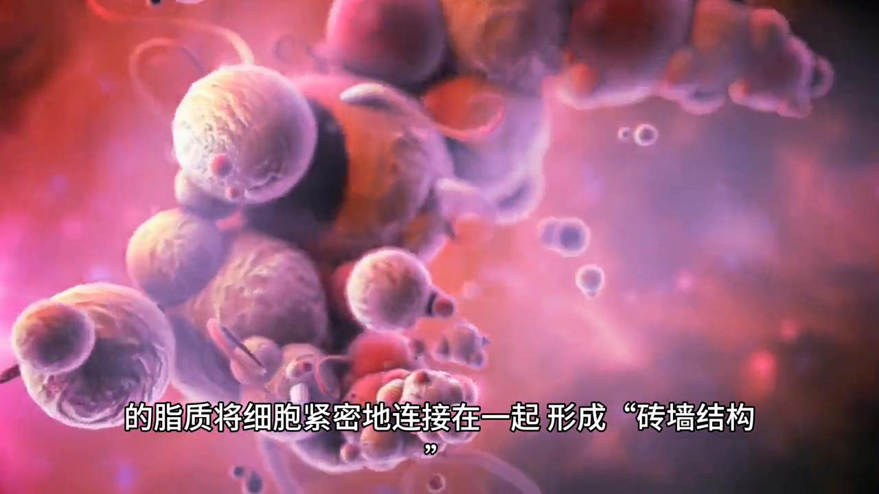 脸很干痒痒的红红的是什么原因,脸上老是红红不像普通人的皮肤