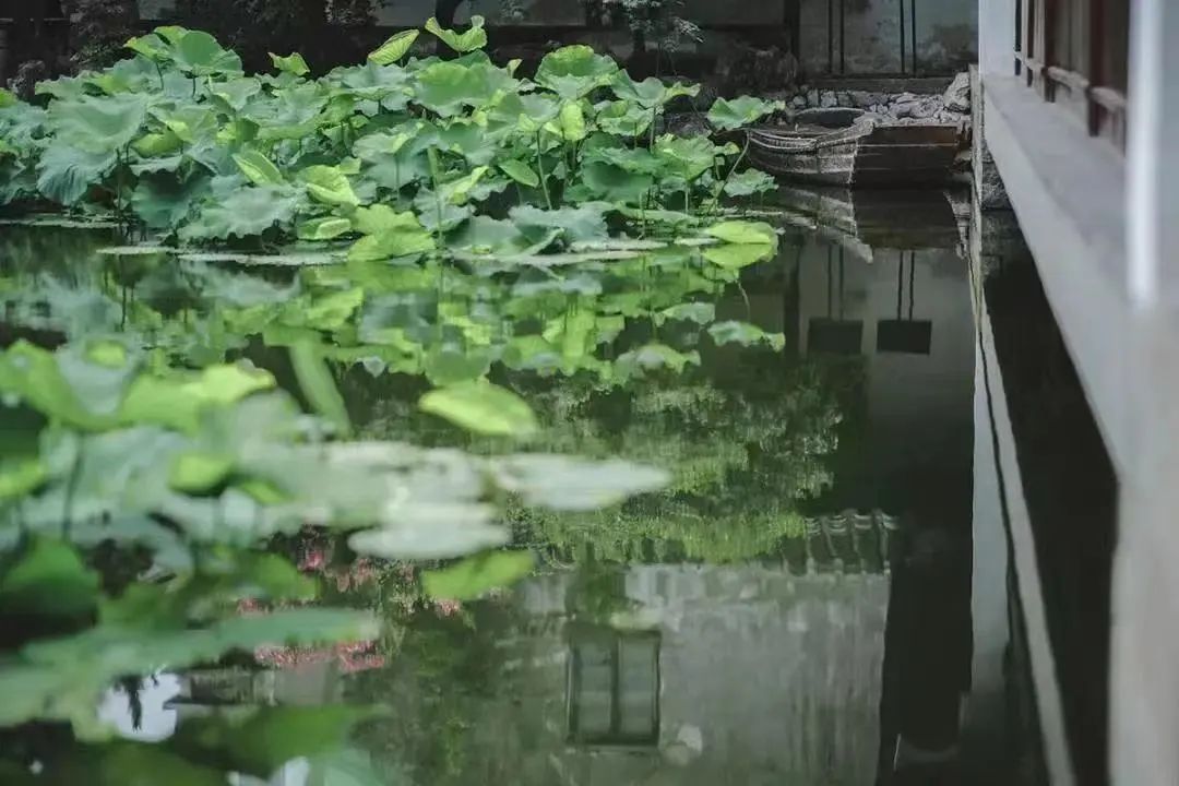 心若安然的诗句,岁月静好内心安然的诗词